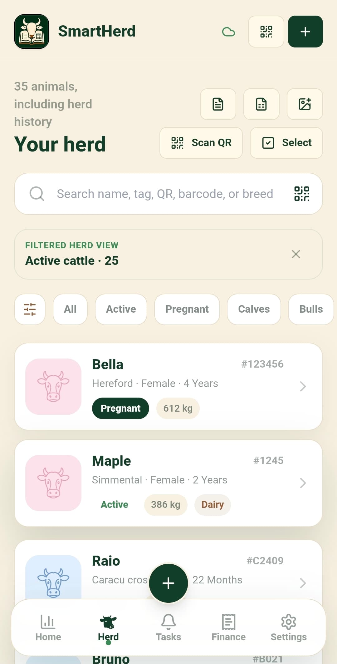 SmartHerd herd list with animal search, QR scanning, filters, and cattle cards.